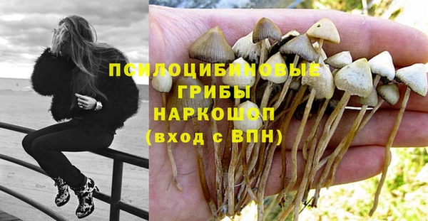 экстази Алексин