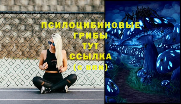 экстази Алексин
